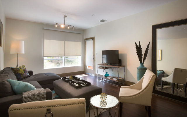 Luxury Apartment