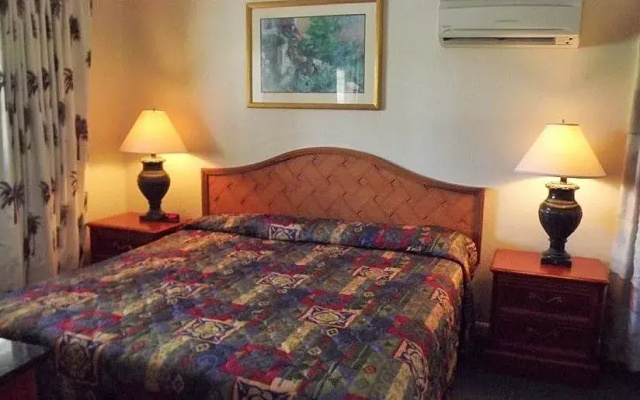 Premium Apartment