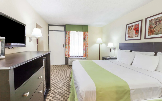 1 Bedroom Double Suite