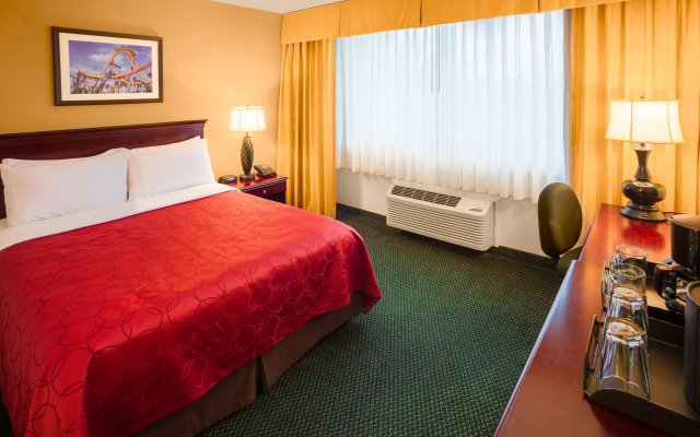 Standard Double room