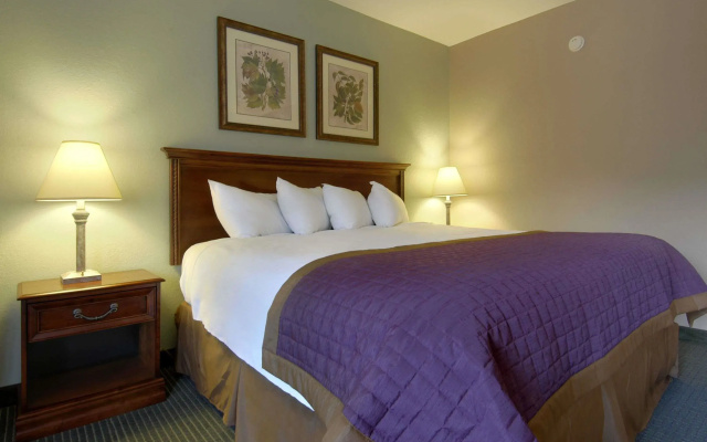 Double Suite