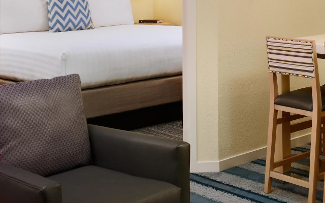 1 Bedroom Suite
