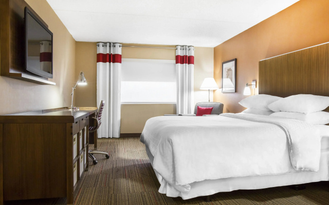 1 Bedroom Executive Suite
