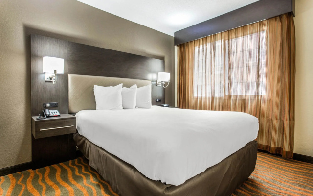 Double Suite