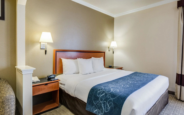 Business Double Suite