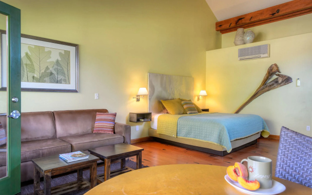 Standard Single room with pool view