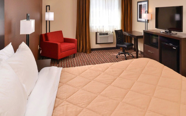 1 Bedroom Double Suite