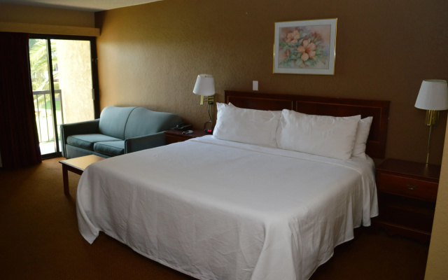 Executive Double room with balcony and with pool view