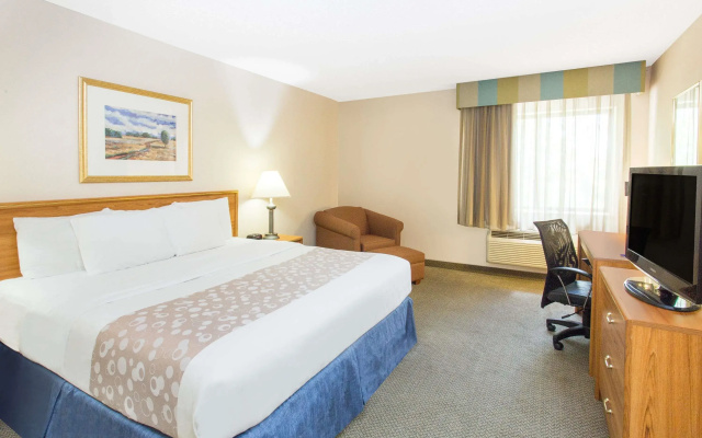 1 Bedroom Double Suite