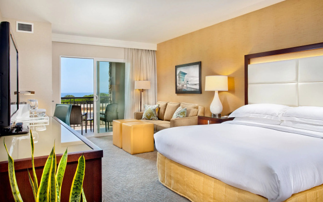 Standard Double room with balcony and with ocean view