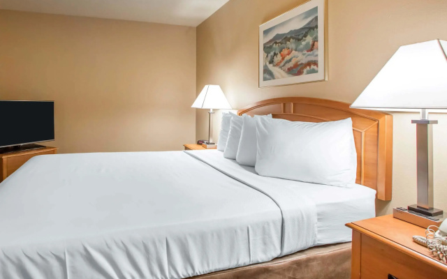 1 Bedroom Deluxe Double Suite