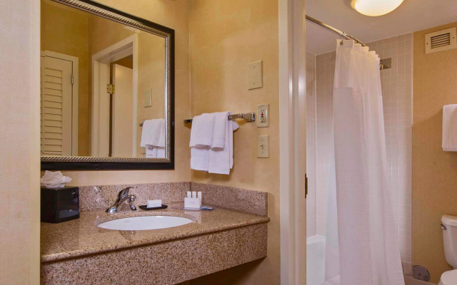 1 Bedroom Suite