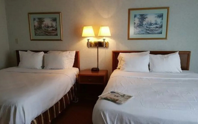 Comfort Quadruple room with pool view
