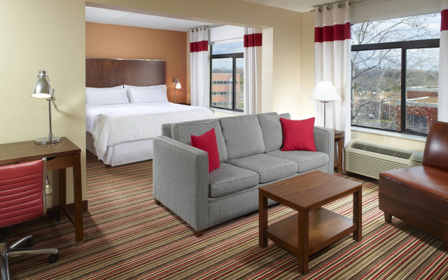 1 Bedroom Suite