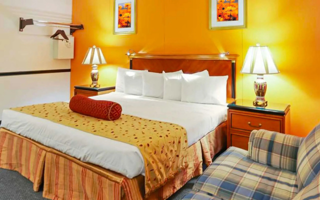 Standard Double room
