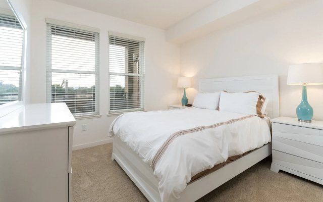 Luxury Apartment