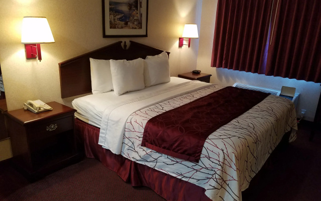 Standard Suite