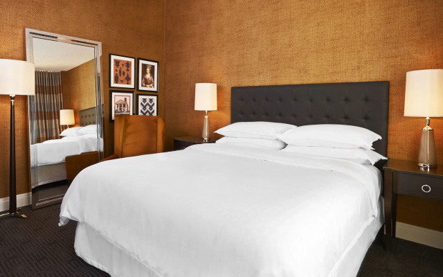 Standard Double Club room