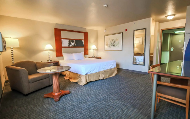 Luxury Suite