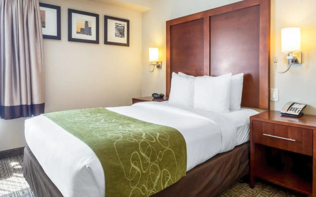1 Bedroom Single Suite