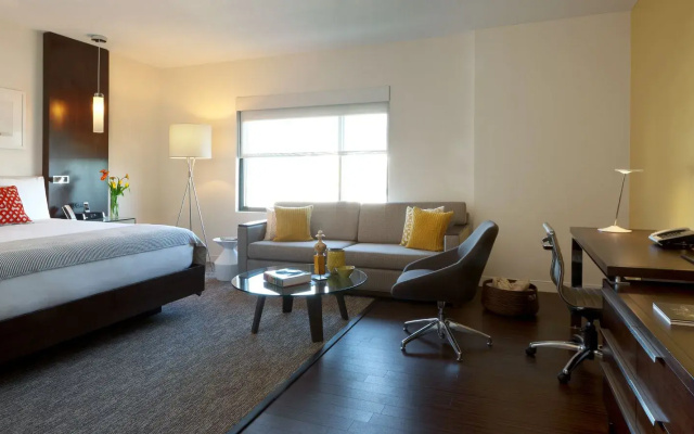1 Bedroom Junior Suite