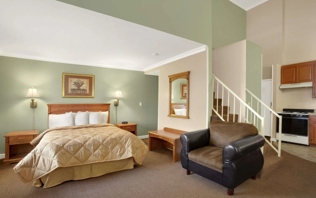 Suite