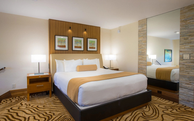 Double Club Suite