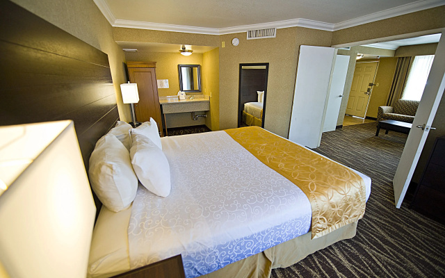 Executive Double Suite with city view