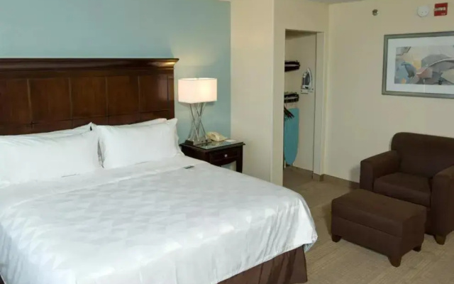 1 Bedroom Double Suite with garden view