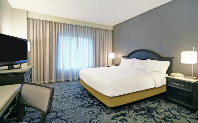 2 rooms Suite