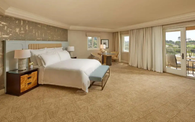 Deluxe Double Studio with resort view