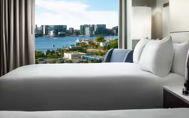 Quadruple room Boston City View
