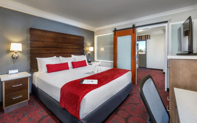 1 Bedroom Suite