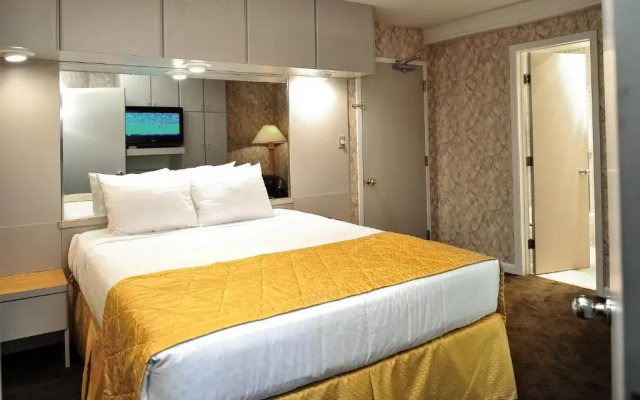 One Bedroom Double Studio