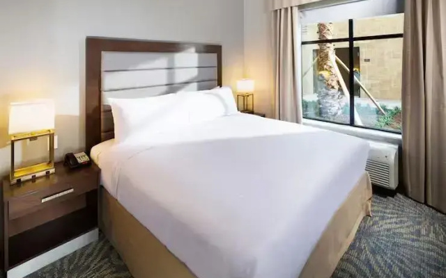 1 Bedroom Suite