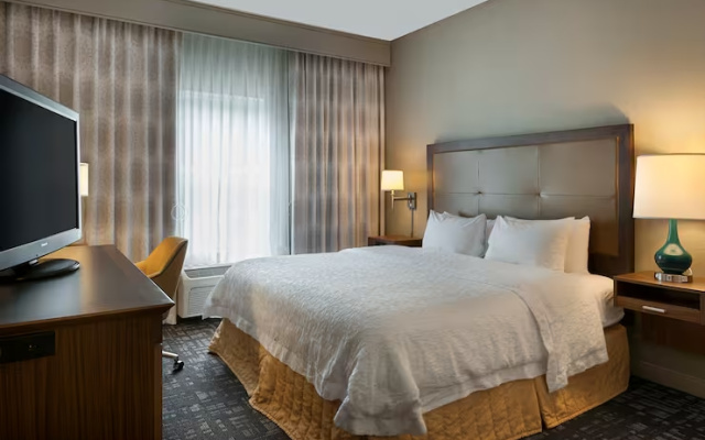 1 Bedroom Suite
