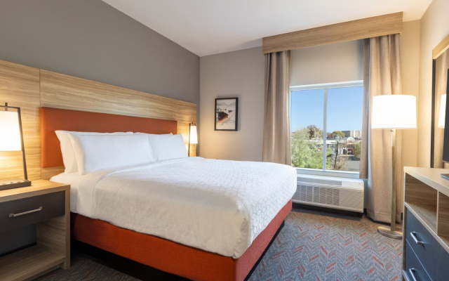 1 Bedroom Suite