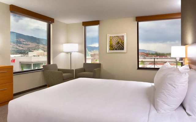 1 Bedroom Suite