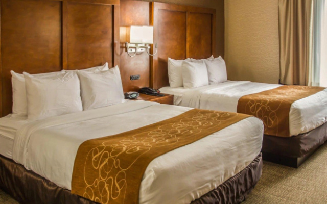 Kitchen Quadruple Suite