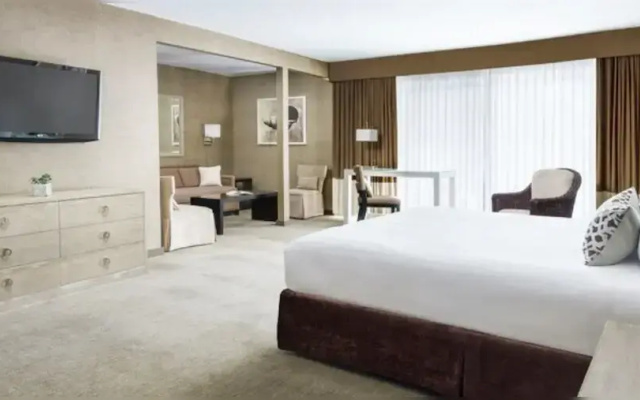 Executive Double Junior Suite