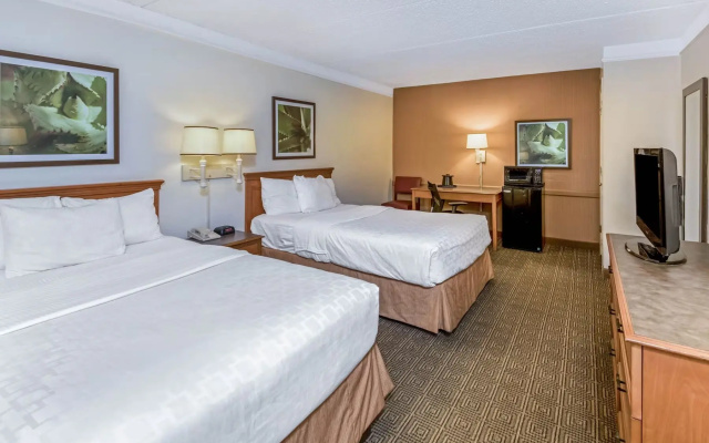 Deluxe Mobility Accessible Twin room