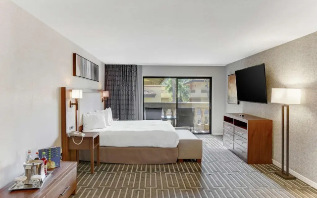 1 Bedroom Pure Wellness Suite