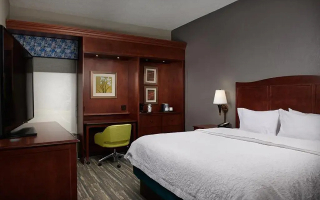 With Fridge/Microwave Guest room