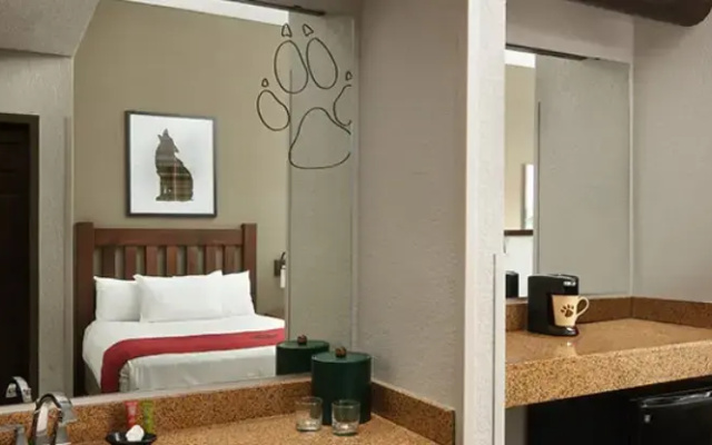 KidKamp Suite