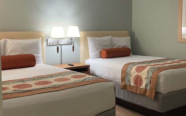 Mini Suite