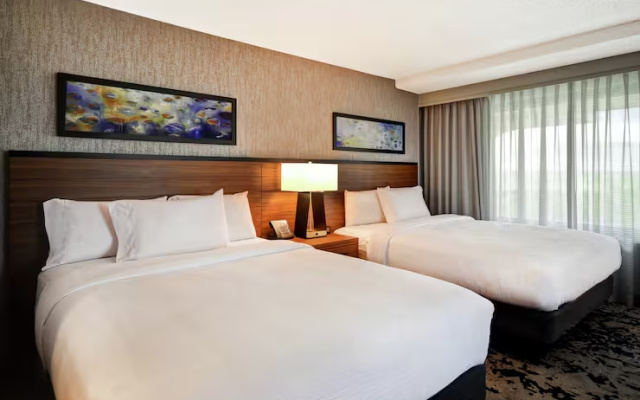 Premium Accessible Double Suite