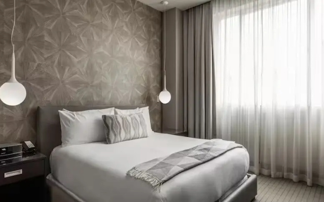 Contemporary Suite