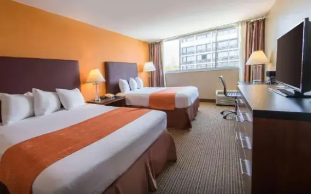 Twin Studio Suite