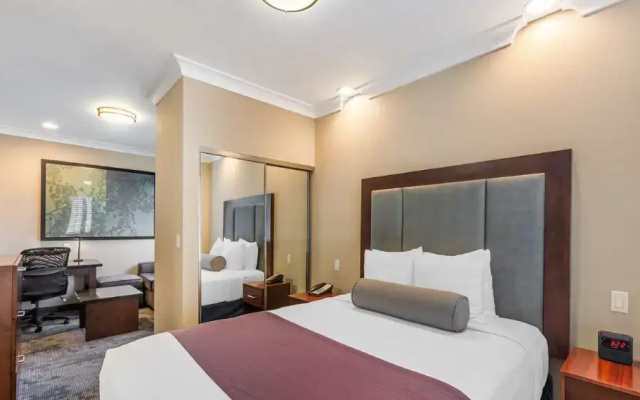 Double Suite