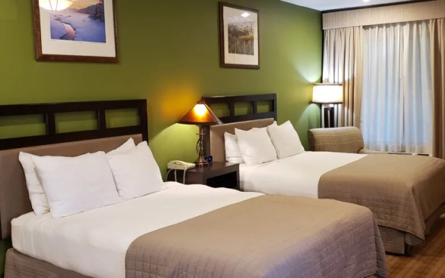 Executive Quadruple room